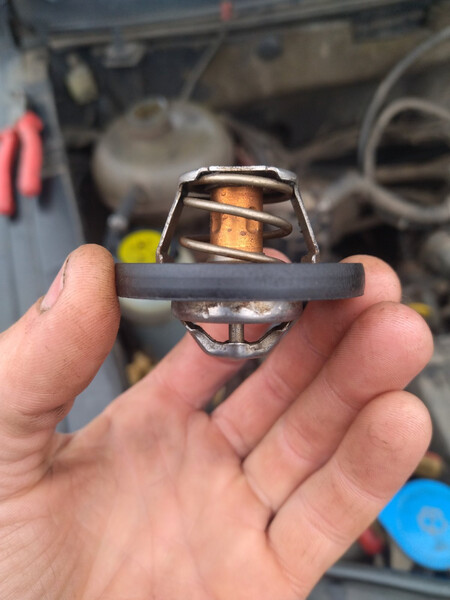 Термостат Land Rover Freelander 2000 г.  1.8 л бензин Кринички