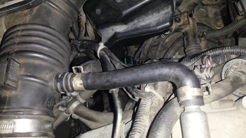 Патрубок сапуна Nissan Primera P12 універсал 2004 р.  1.8 л бензин Рівне