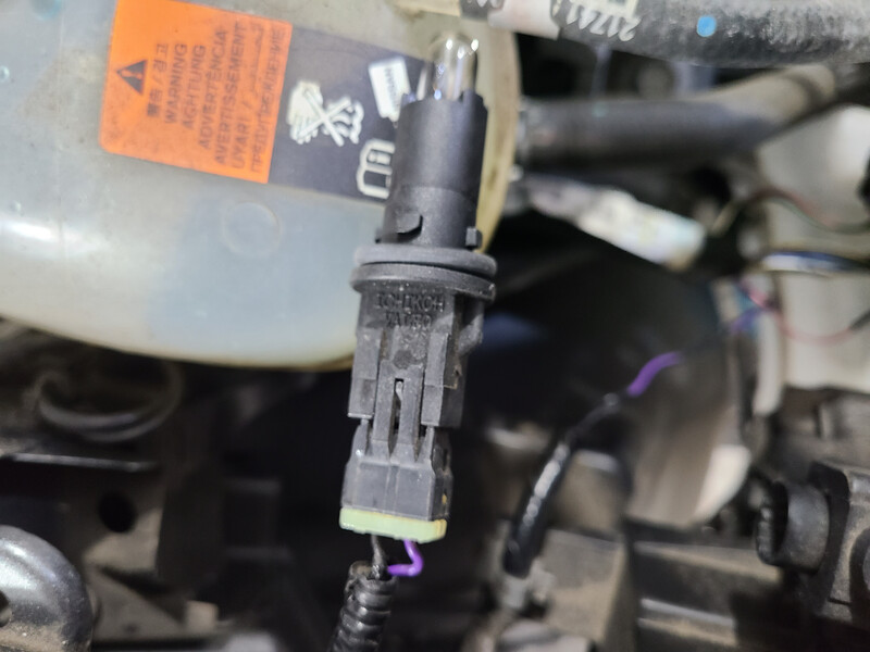 Фишка для переднего поворотника Nissan Kicks  2019 1.6 Бензин Одесса