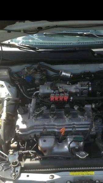 Двигатель QG18DE   Nissan Almera, Nissan Almera Tino, Nissan Primera