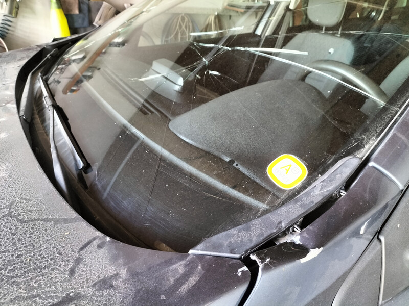 Крыло переднее Renault Megane универсал 2015 г.  1.5 л дизель Дунаевцы