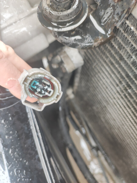 Фишка датчика фриона (кондиционера) Toyota Camry 30  2004 3.0 Бензин 