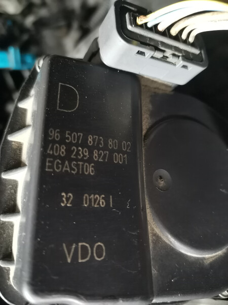 Правая шторка безопасности Opel Astra  2006 2.2 Бензин Новомосковск
