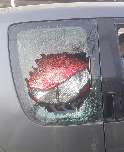 Скло заднє Skoda Roomster  2009 універсал 1.6 Бензин 