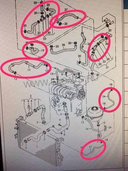 Патрубки системы охлаждения Volkswagen T5 (Transporter)  2007 2.5 Дизель Рубежное