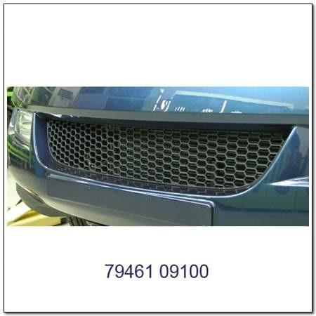 Решетка переднего бампера (нижняя) SSangYong Kyron  2010 2.0 Дизель Киев