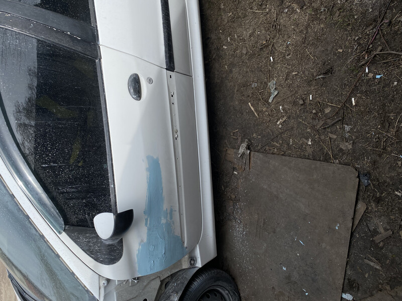 Молдинг дверей водія Peugeot 206 Шорт 2007 хетчбек 1.4 Бензин 