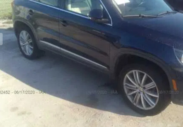 Молдинг двери Volkswagen Tiguan  2013 Киев