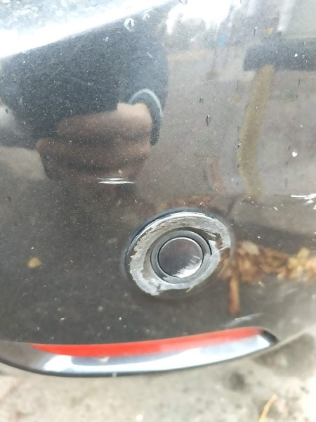 Парктроник задний 1434278   Ford Focus