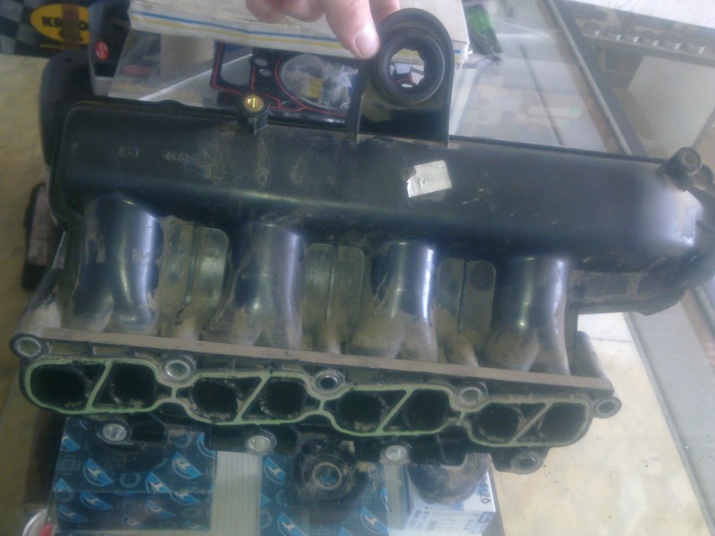 Коллектор впускной 55231291   Fiat Doblo