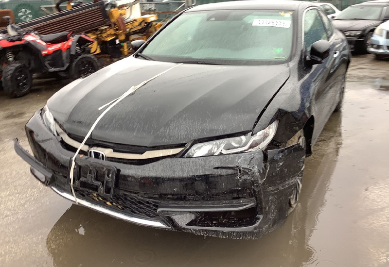 Бампер передний 71101-T3L-A50ZZ   Honda Accord, Honda Accord USA