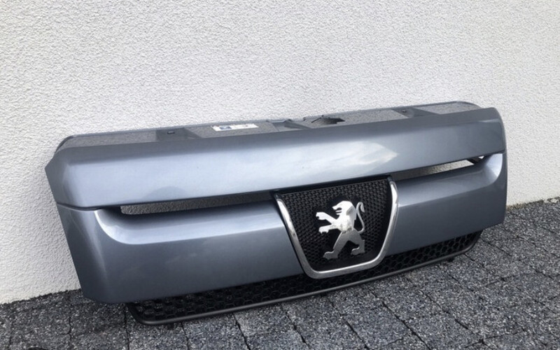 Решетка радиатора Peugeot Expert 2006 г.  1.9 л дизель Острог