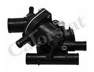 Термостат Renault Kangoo 2000 р.  1.9 л дизель Луганськ