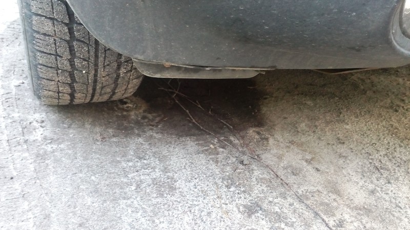 Бризговик передній Nissan Juke  2011 універсал 1.6 Бензин 