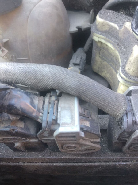 Фишка эбу двигателя Renault Kangoo 1 2002 1.5 Дизель Черкассы