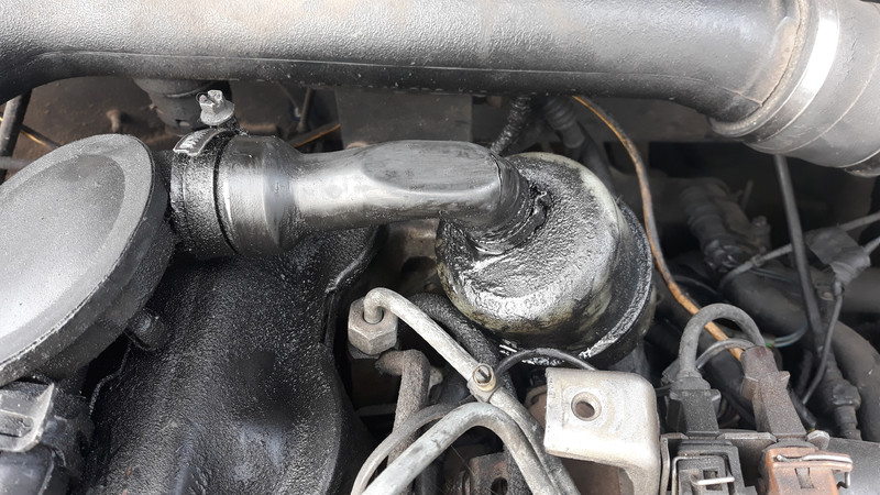 Патрубок Volkswagen Passat B5 1997 г.  1.9 л дизель Миргород