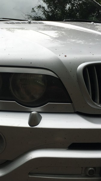 Колпачек на обыватель фар BMW X5 E53  2003 4.6 Бензин Ватутино