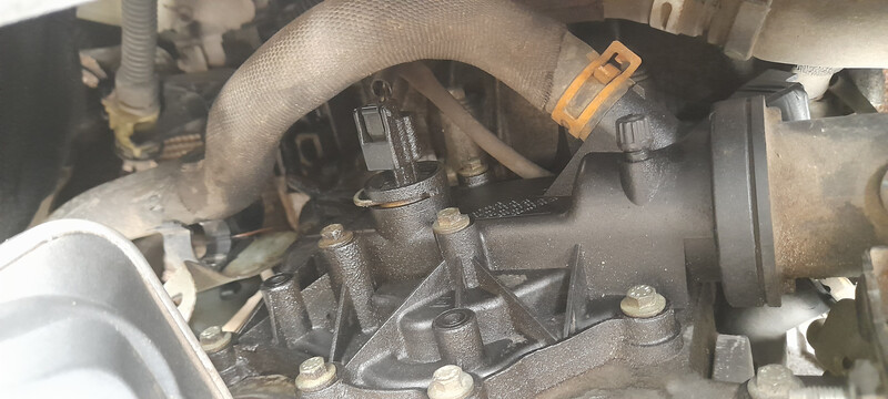 Термостат Renault Megane 3  2010 хэтчбек 1.6 Бензин Житомир