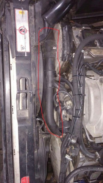 Патрубок радиатора Audi A8 D2  1998 3.7 Бензин Львов