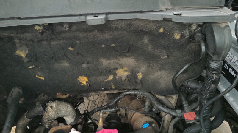 Шумоизоляция моторного отсека Land Rover Freelander  2010 2.2 Дизель Киев