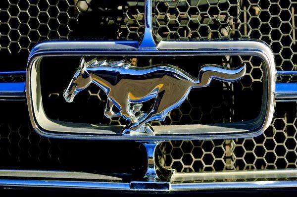 Эмблема Ford Mustang  1969 4.0 Бензин Одесса