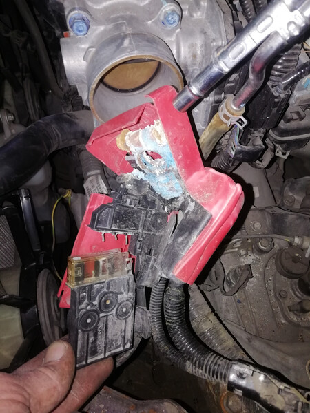 Клемма плюсовая Honda FIT  2015 хэтчбек 1.5 Бензин Одесса