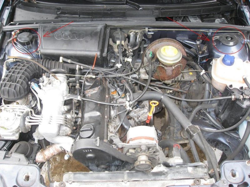 Декоративные крышки на стаканы Audi 80 B3/B4 1994 2.0 Бензин Хмельницкий