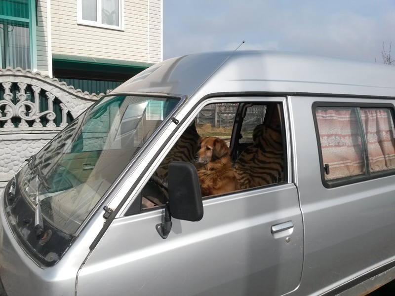 Стекло лобовое Nissan Vanette с120 1986 1.5 Бензин Фастов