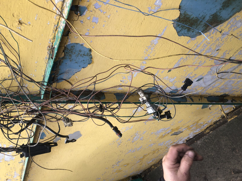 Проводка ДВС Renault Kangoo  2000 1.9 Дизель Олешки