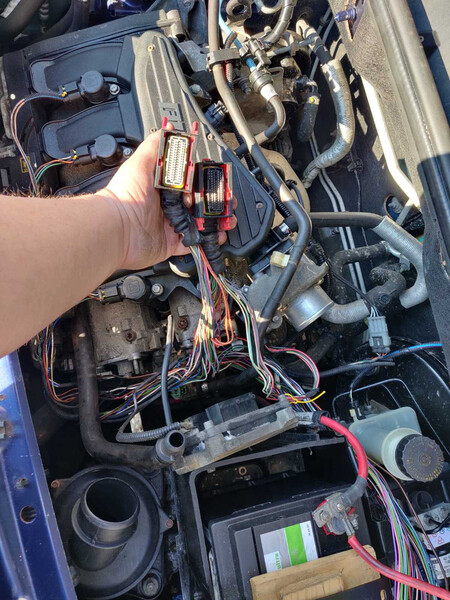 Проводка подкапотная Fiat Doblo универсал 2001 г.  1.6 л бензин Ровно