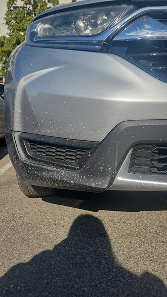 Противотуманные фары и решетки под них Honda CR-V 5  2019 2.0 Бензин Одесса
