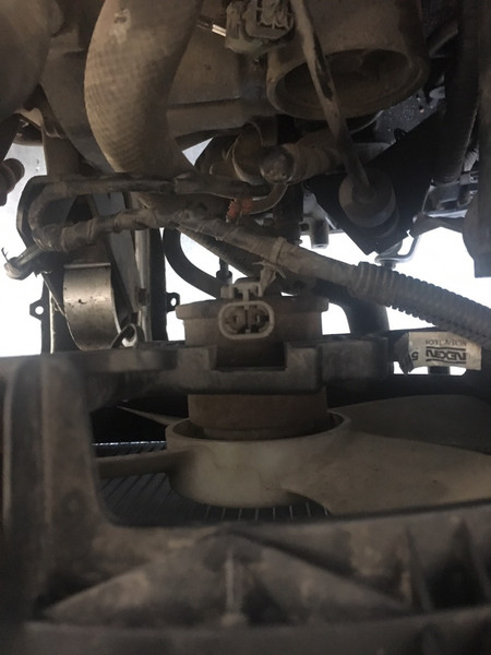 Розьем на вентиляторы Nissan Almera N17  2006 1.6 Бензин Бровары