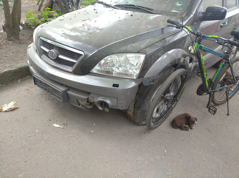 Бампер передній Kia Sorento 2006 р.  2.5 л дизель Сміла