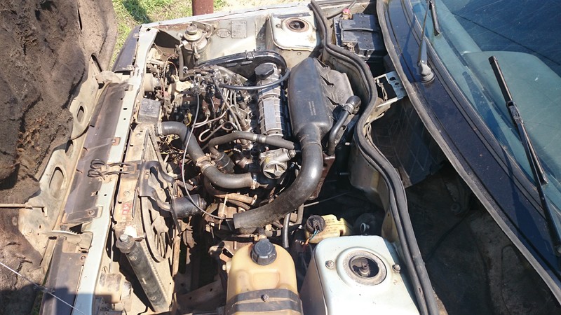 Двигун Renault 11 хетчбек 1986 р.  1.6 л дизель Чорноморськ