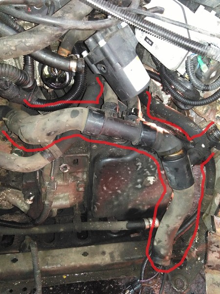 Патрубок системы охлаждения 800299725   Renault Clio