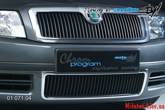 Решетка радиатора Skoda Octavia хэтчбек 2007 г.  1.6 л бензин Хуст