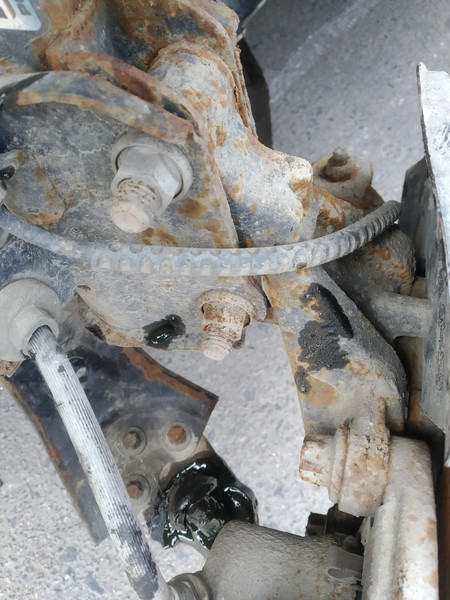 Цапфа передняя левая Jeep Renegade  2016 2.4 Бензин Черкассы