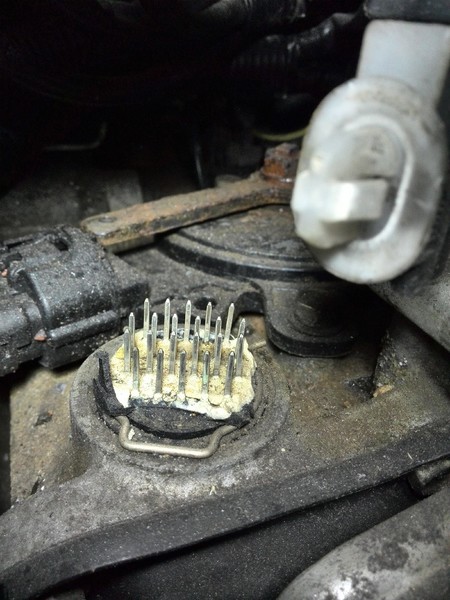 Разъем с проводами АКПП Mitsubishi Outlander XL  2007 3.0 Бензин Черкаси