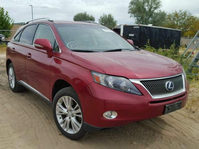 Фара передняя левая сторона Lexus RX 2010 г.  4.5 л гибрид Киев