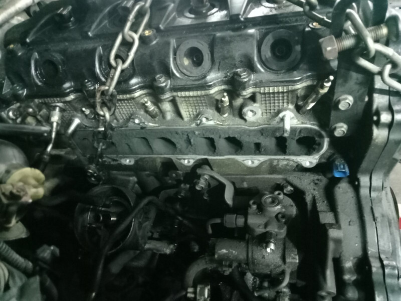 Двигун Nissan Navara праворульна 2011 р.  2.5 л дизель Київ