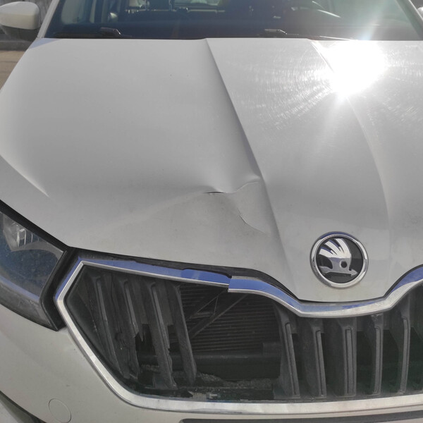 Решьотка радиатора Skoda Fabia 3  2020 хэтчбек 1.0 Бензин Чернигов