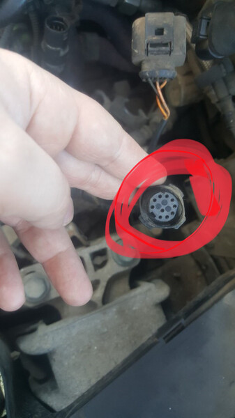 Фишка проводки акпп Volkswagen Bora  2003 1.6 Бензин 