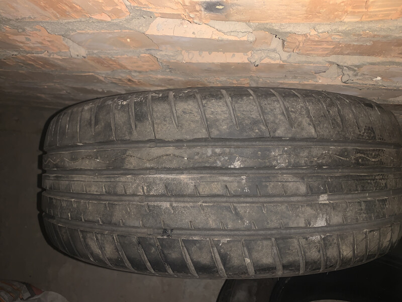 Шины 205 55 16 hankook ventus s1 evo Ford Focus 3  2013 