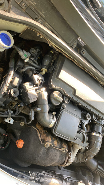 Топливная магистраль Citroen C3  2007 хэтчбек 1.4 Дизель Тернополь