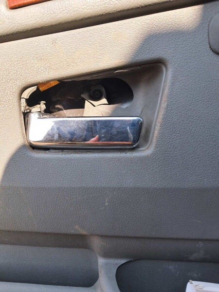 Внутрішня ручка дверей Jeep Grand Cherokee  2006 3.0 Дизель Киев