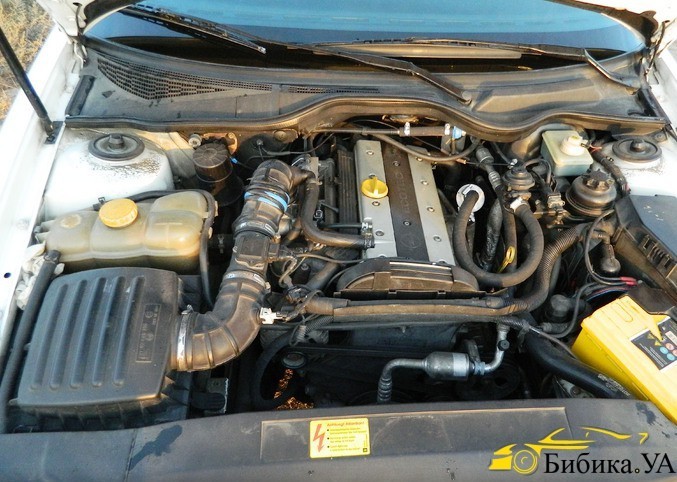 Двигатель opel omega b 2.0 16 клапанный 1995 год Opel Omega B 1995 р.  2.0 л бензин Запоріжжя