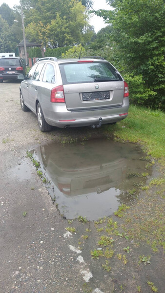 Модники дверей комплект желательно капучино цвет Skoda Octavia A5  2011 универсал 1.6 Бензин Житомир