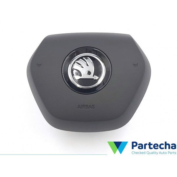 Airbag водія Skoda Fabia 2021 р.  Золотоноша