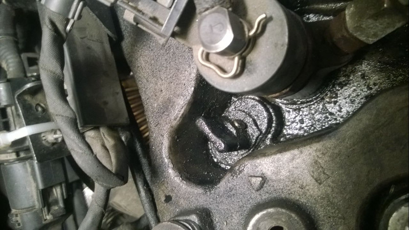 Заглушка над форсункой в крышке клапанов Hyundai Sonata NF 5 2006 р.  2.0 л дизель Київ