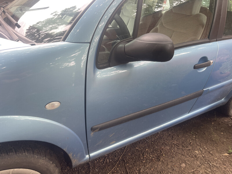 Молдинг двери Citroen C3 2003 г.  1.6 л бензин Полтава